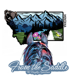 Montana From The Saddle Series Sticker, Laptop Sticker, Western Vinyl Decal