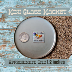 Mini Glass Magnets Barnyard Snark Set of 6 Magnets